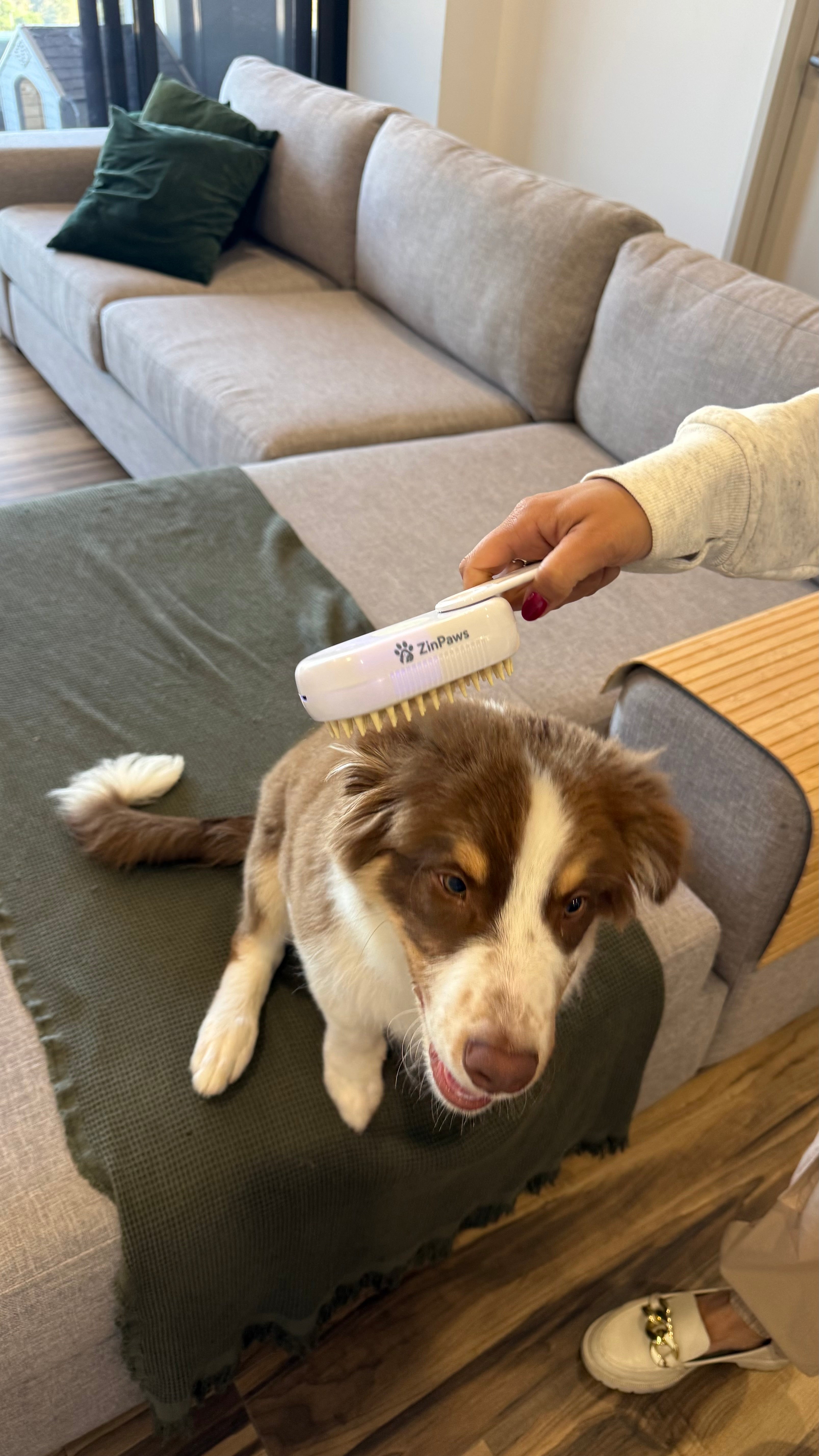 ZinPaws 3-in-1 Pet Grooming Brush