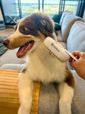 ZinPaws 3-in-1 Pet Grooming Brush